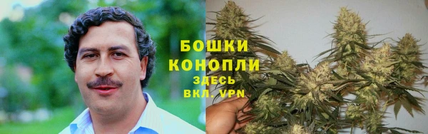 гидропоника Сосновка