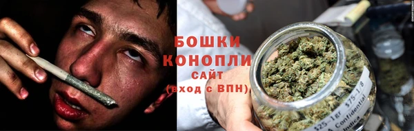 ГАЛЛЮЦИНОГЕННЫЕ ГРИБЫ Сосновоборск