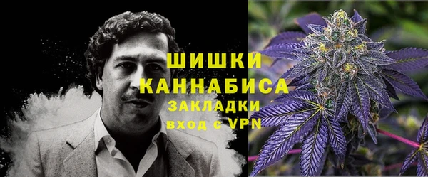 дмт Сосновый Бор