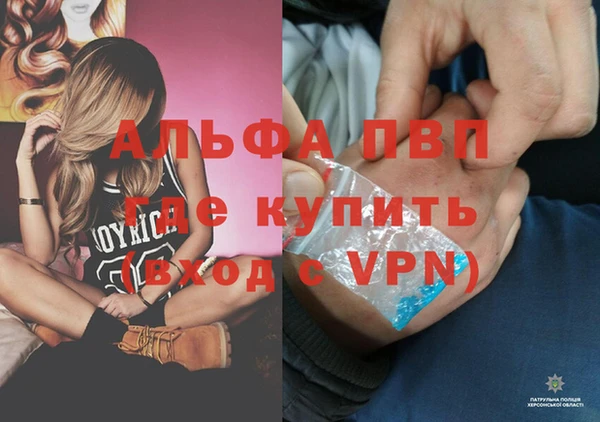 дмт Сосновый Бор