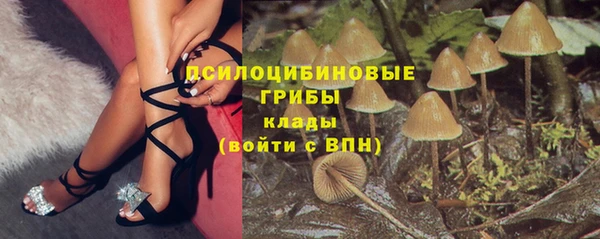 СК Ступино