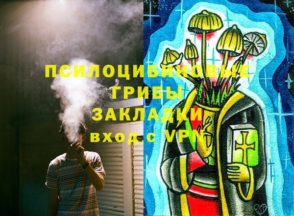 дмт Сосновый Бор