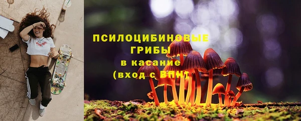 СК Ступино