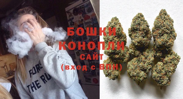 дмт Сосновый Бор