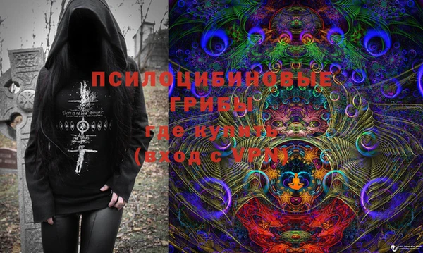 ГАЛЛЮЦИНОГЕННЫЕ ГРИБЫ Сосновоборск